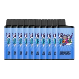 BAR PRO – 10 PCS Bundle – Blueberry Raspberry